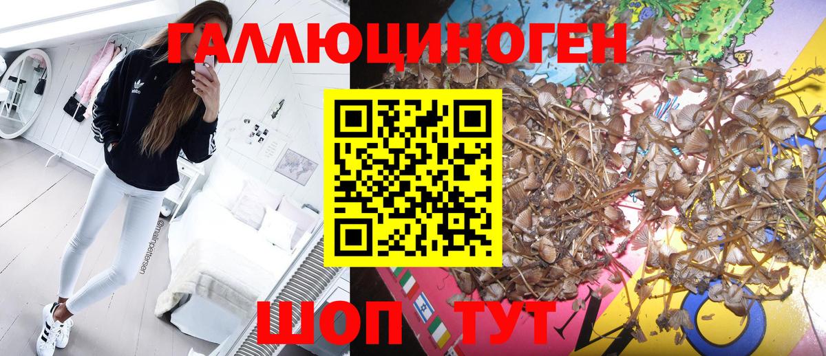 Псилоцибиновые грибы Magic Shrooms  Вход с VPN  Петрозаводск 