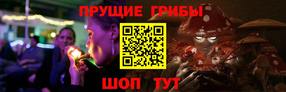 Галлюциногенные грибы мицелий Петрозаводск